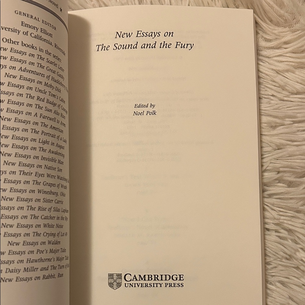 The Sound and the Fury, book of essays and critique, interpretation - Picture 5 of 6